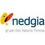 Logo Nedgia